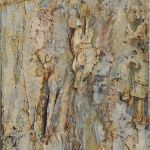 Cornish Stone 50x20cm Wrapped Canvas - Acrylics, Muslin